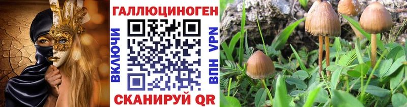 Галлюциногенные грибы Psilocybine cubensis  ОМГ ОМГ вход  Тулун 